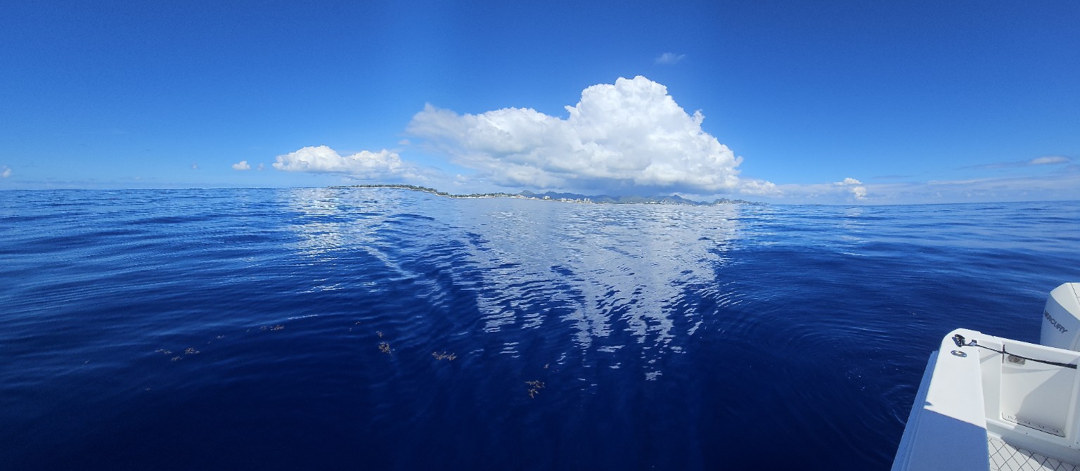 Open Caribbean water on a day charter